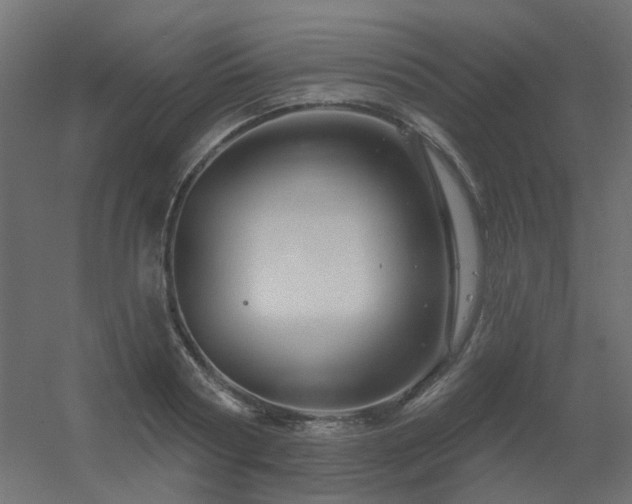 X0000056330794200509021628