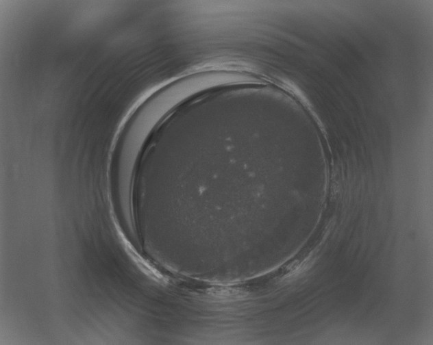 X0000056330795200509021628