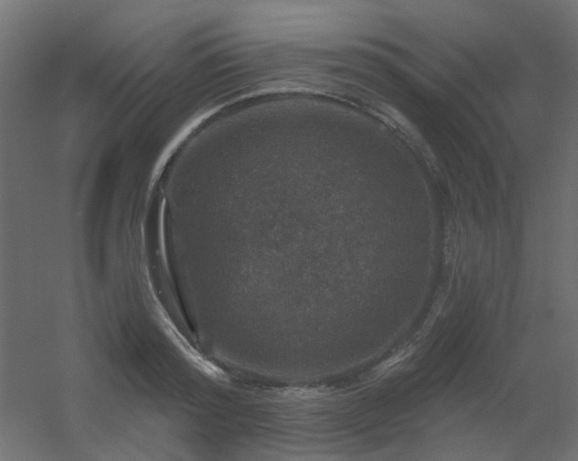 X0000056330796200509021628