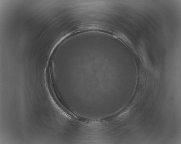 X0000056330798200509021628