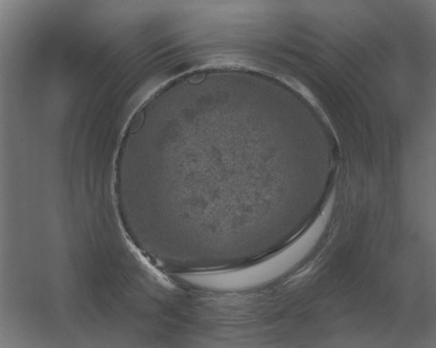 X0000056330799200509021628