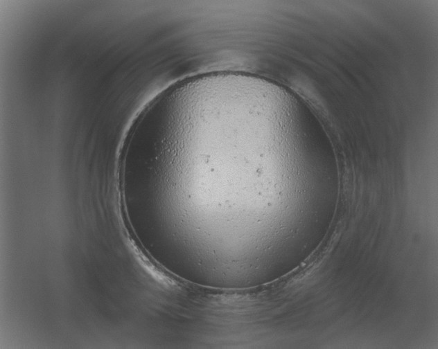 X0000056330800200509021628