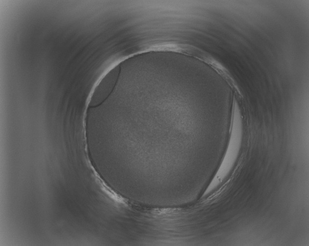 X0000056330808200509021628