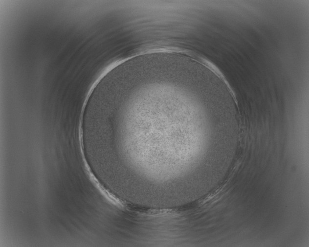 X0000056330811200509021628