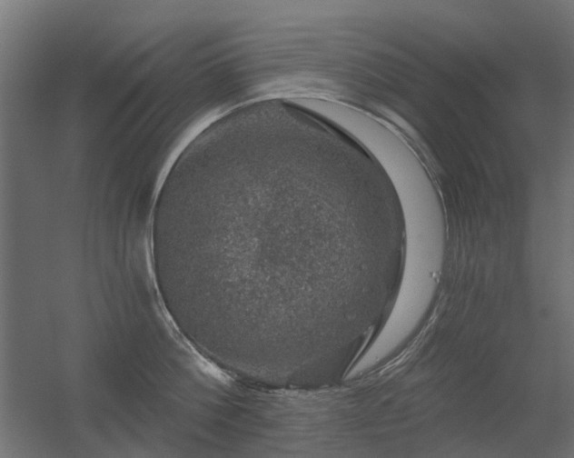 X0000056330812200509021628