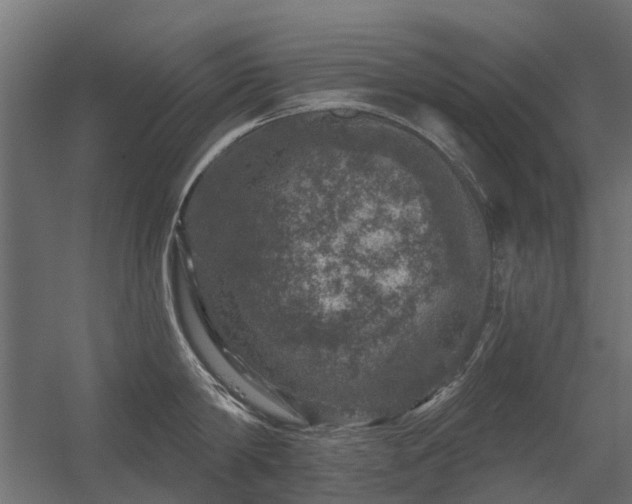 X0000056330814200509021628