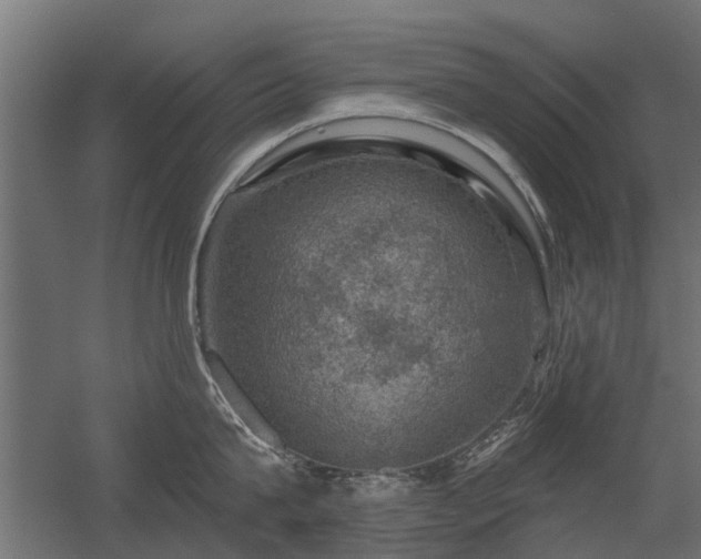 X0000056330815200509021628