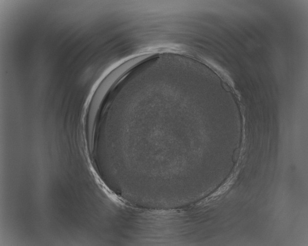 X0000056330816200509021628