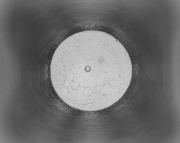 X0000056330820200509021627