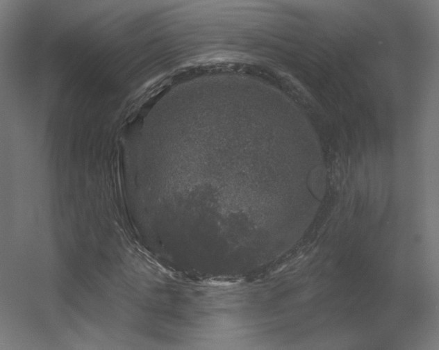 X0000056330821200509021627