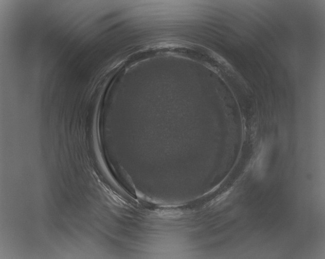 X0000056330825200509021627