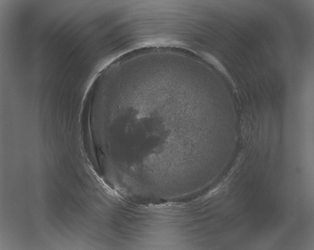 X0000056330831200509021627