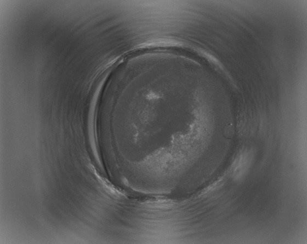 X0000056330833200509021627