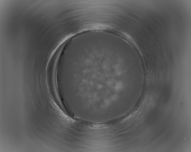 X0000056330835200509021627