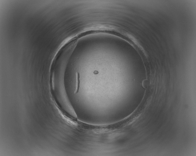 X0000056330837200509021627