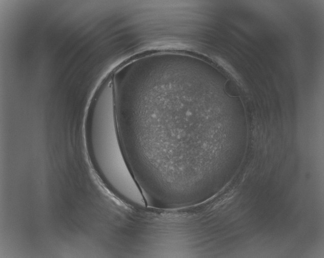 X0000056330840200509021627