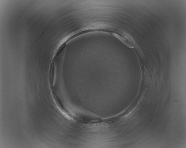 X0000056330842200509021627