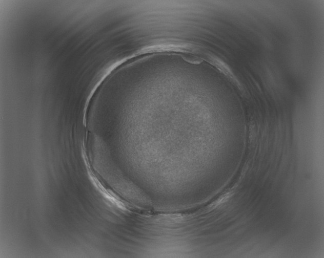 X0000056330844200509021627