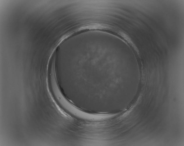 X0000056330845200509021627