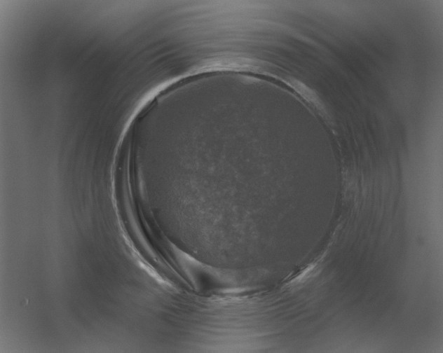 X0000056330846200509021627