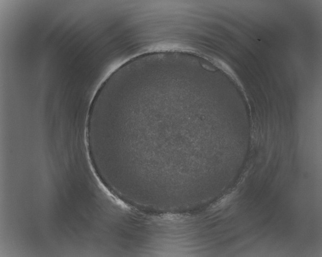 X0000056330847200509021627