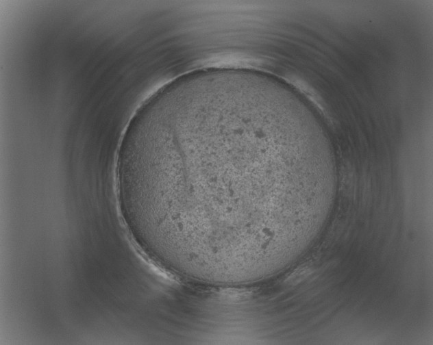 X0000056330848200509021627