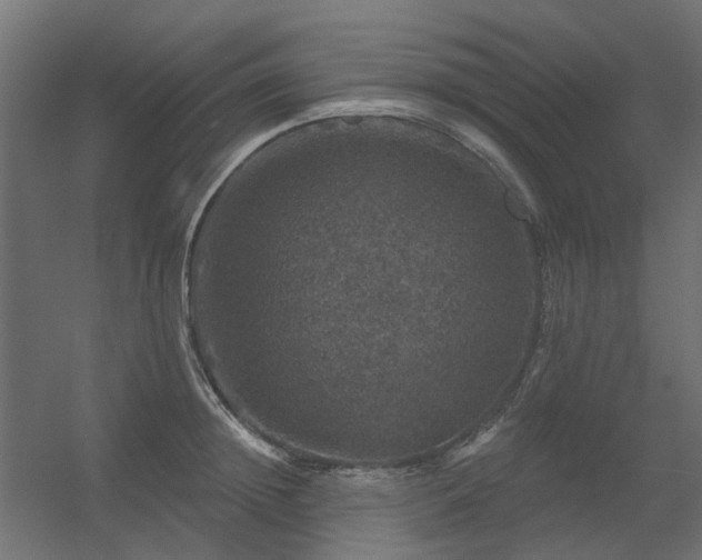 X0000056330852200509021627