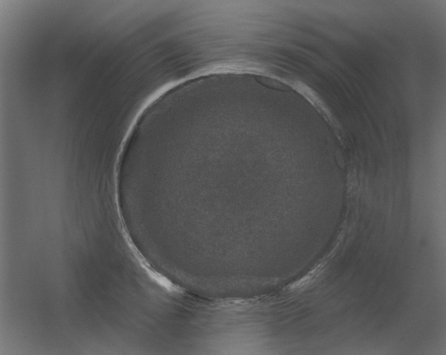 X0000056330854200509021627