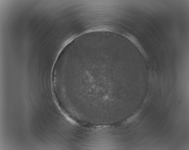 X0000056330858200509021627