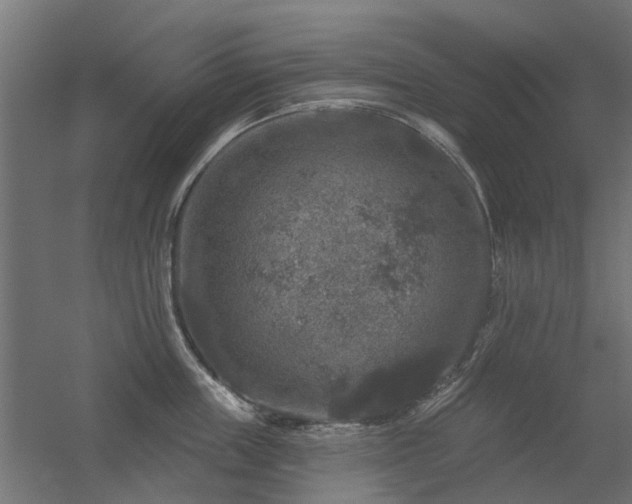 X0000056330859200509021627