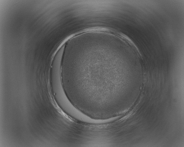 X0000056330860200509021627