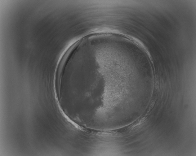 X0000056330863200509021627