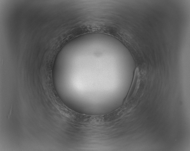 X0000056330865200509021627