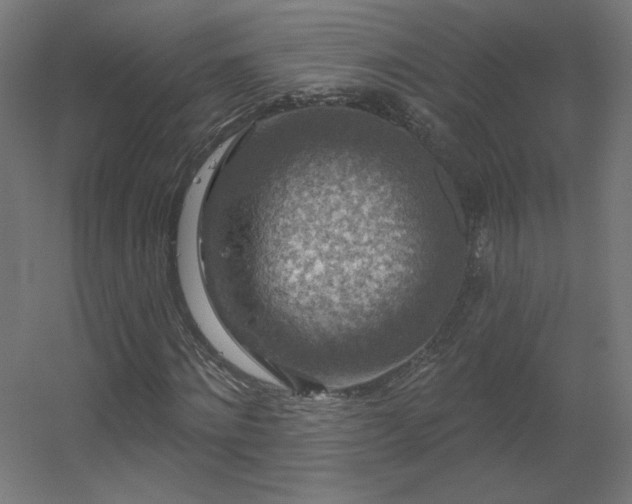 X0000056330868200509021627