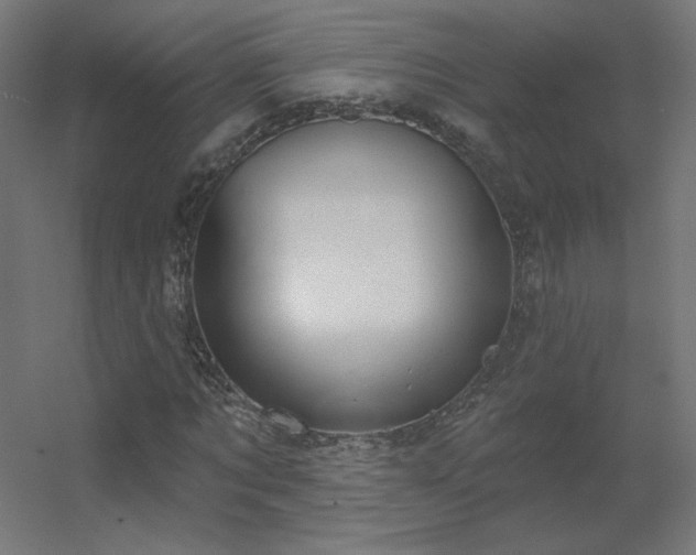 X0000056330869200509021627