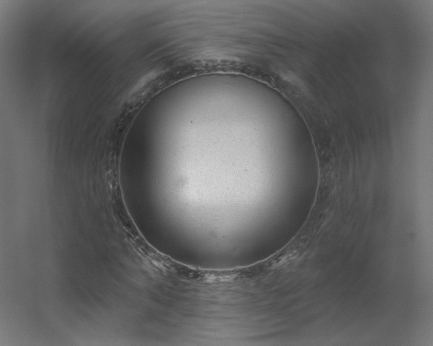 X0000056330870200509021627