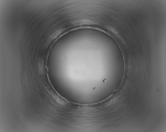 X0000056330873200509021627