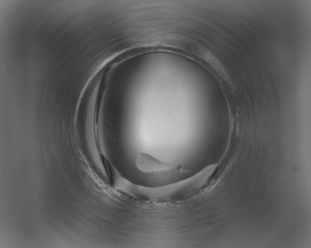 X0000056330876200509021626