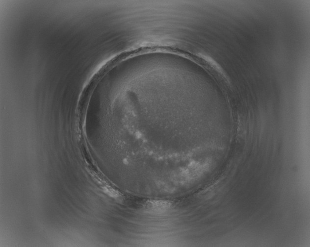 X0000056330878200509021626