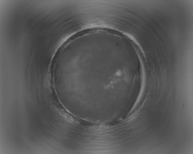 X0000056330879200509021626