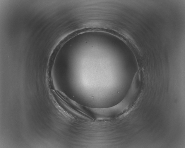 X0000056330880200509021626