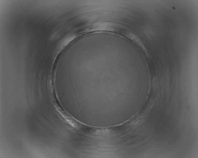 X0000056330882200509021626