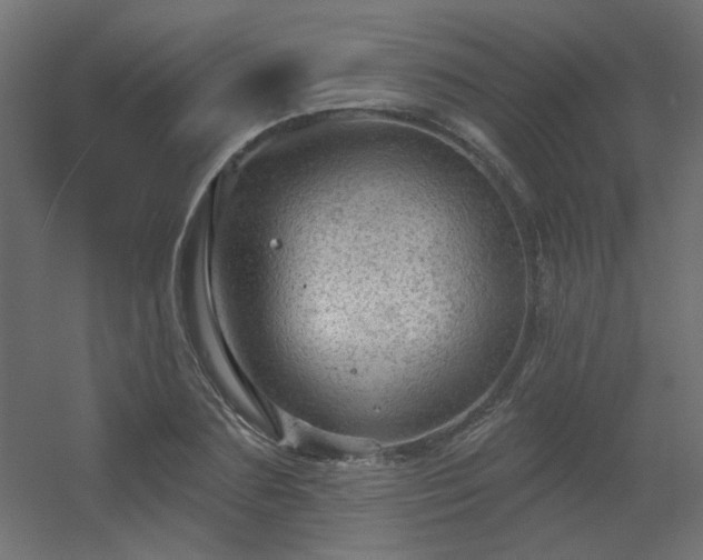 X0000056330883200509021626