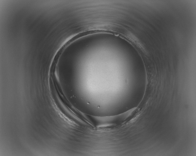 X0000056330884200509021626