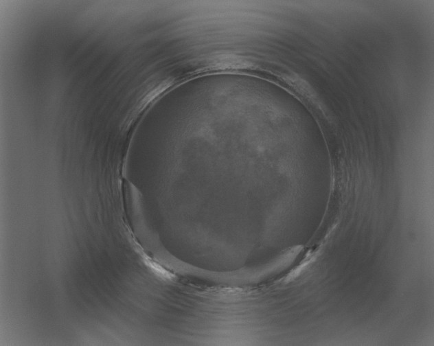 X0000056330889200509021626