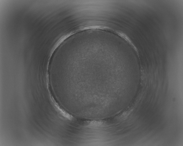 X0000056330890200509021626