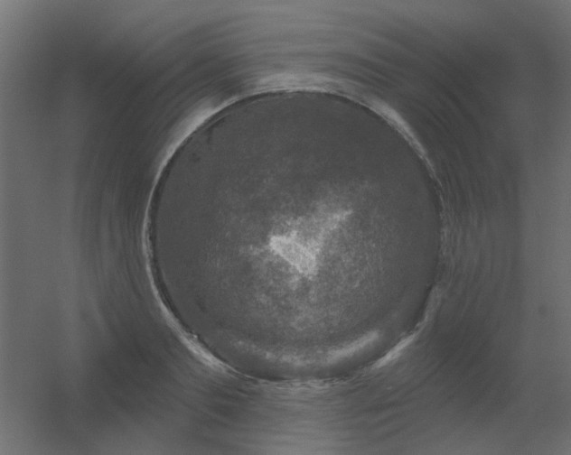 X0000056330893200509021626