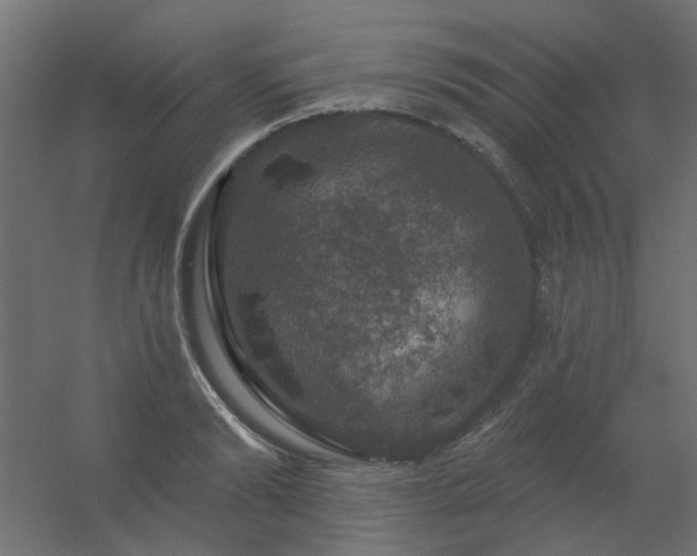 X0000056330894200509021626