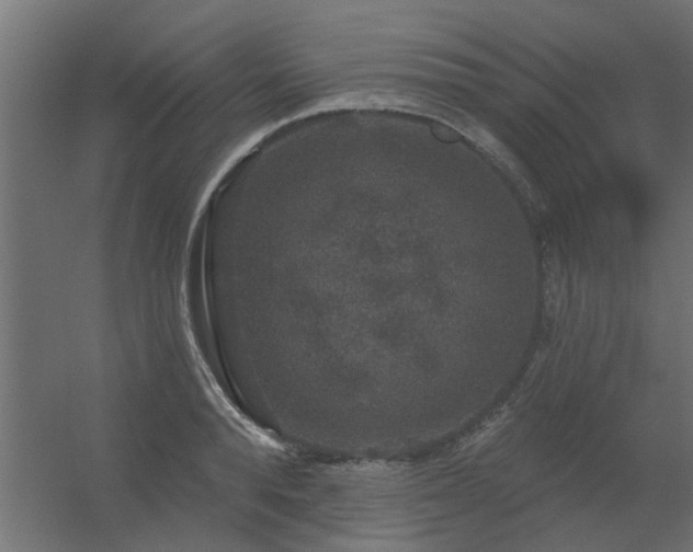 X0000056330896200509021626