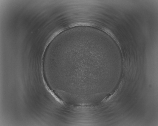 X0000056330898200509021626